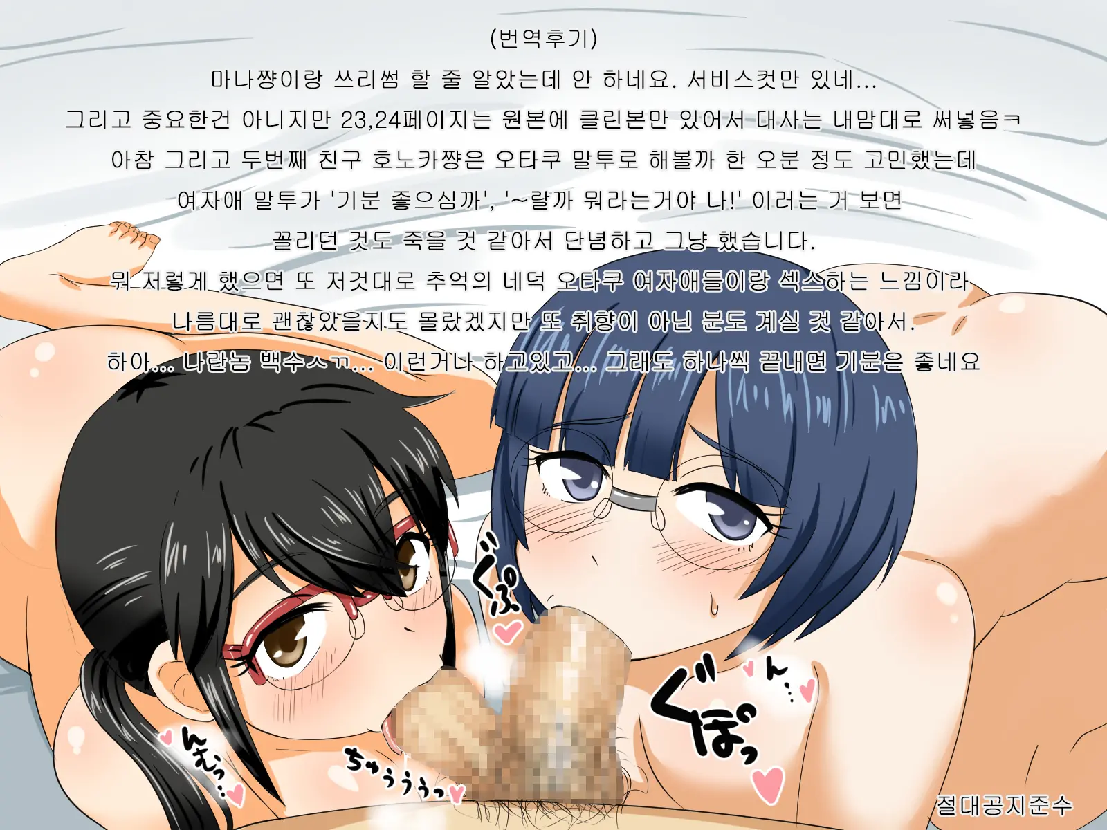 Jimi De Otaku Joshi Na Watashi-Tachi Datte, Ecchi Wa Daisuki Nan Desu! | 평범한 오타쿠 소녀인 우리들이라도, H한건 좋아한다구요!